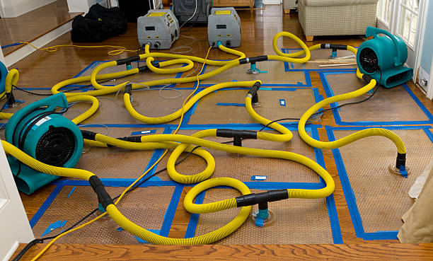Professional Basement Flood Cleanup technician working in Clayton, CA